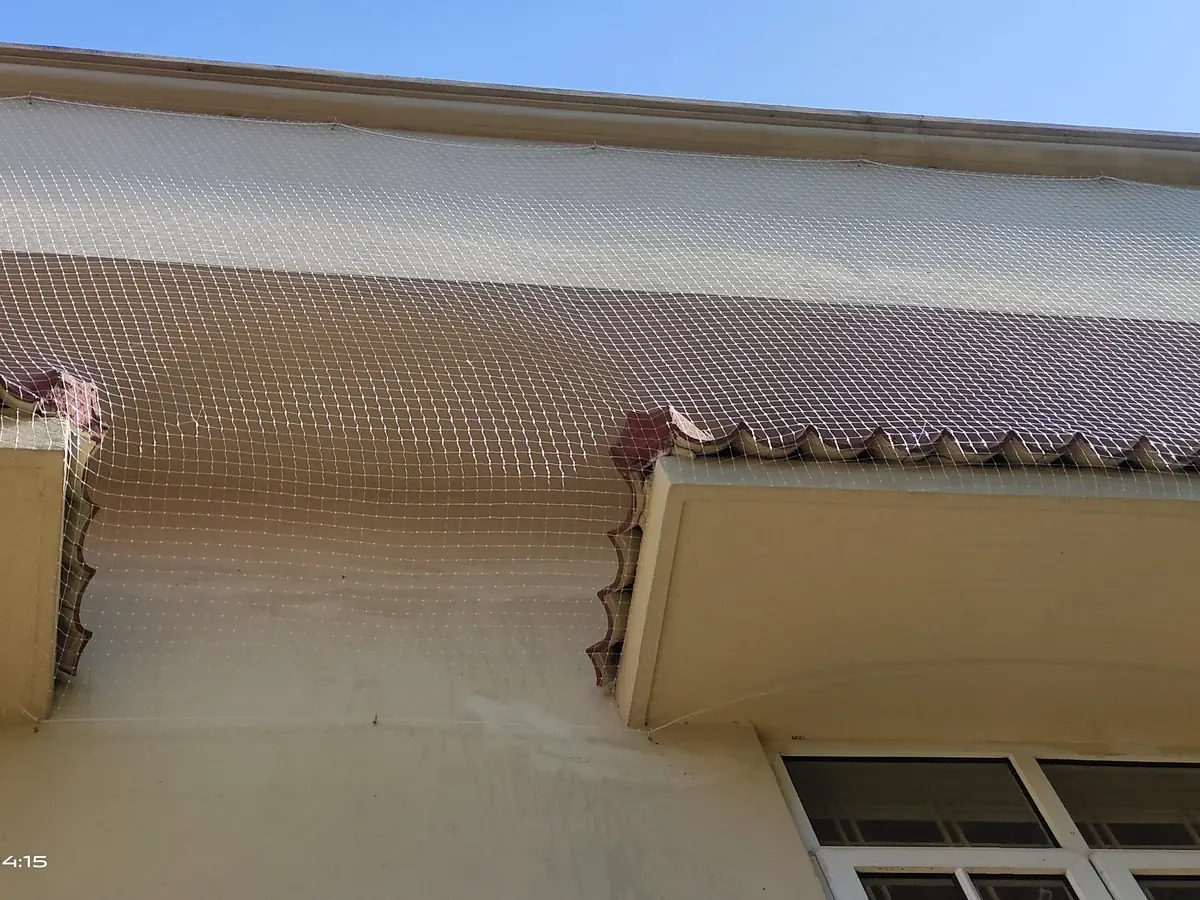 Pigeon Net Installation in Banjara Hills apartment