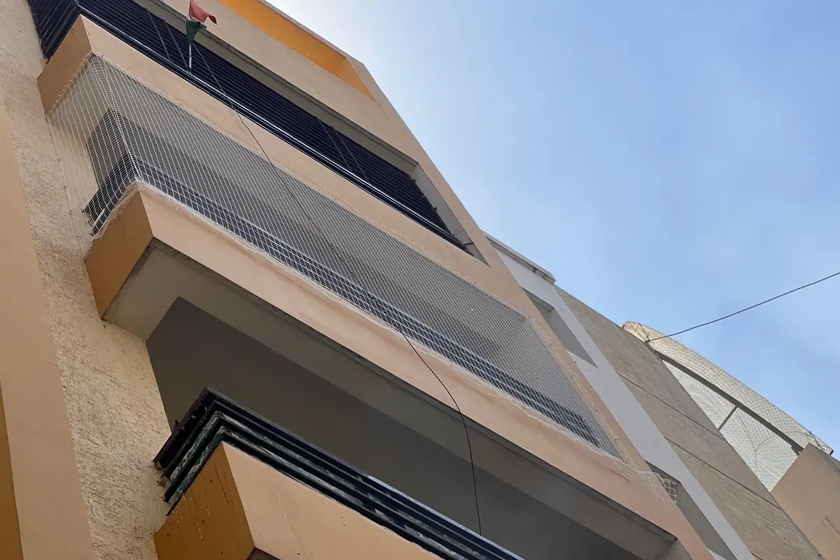 Financial District homes for site-specific Feather Guard planning
