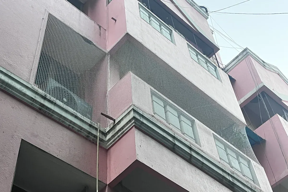 Window Pigeon Nets in Gachibowli