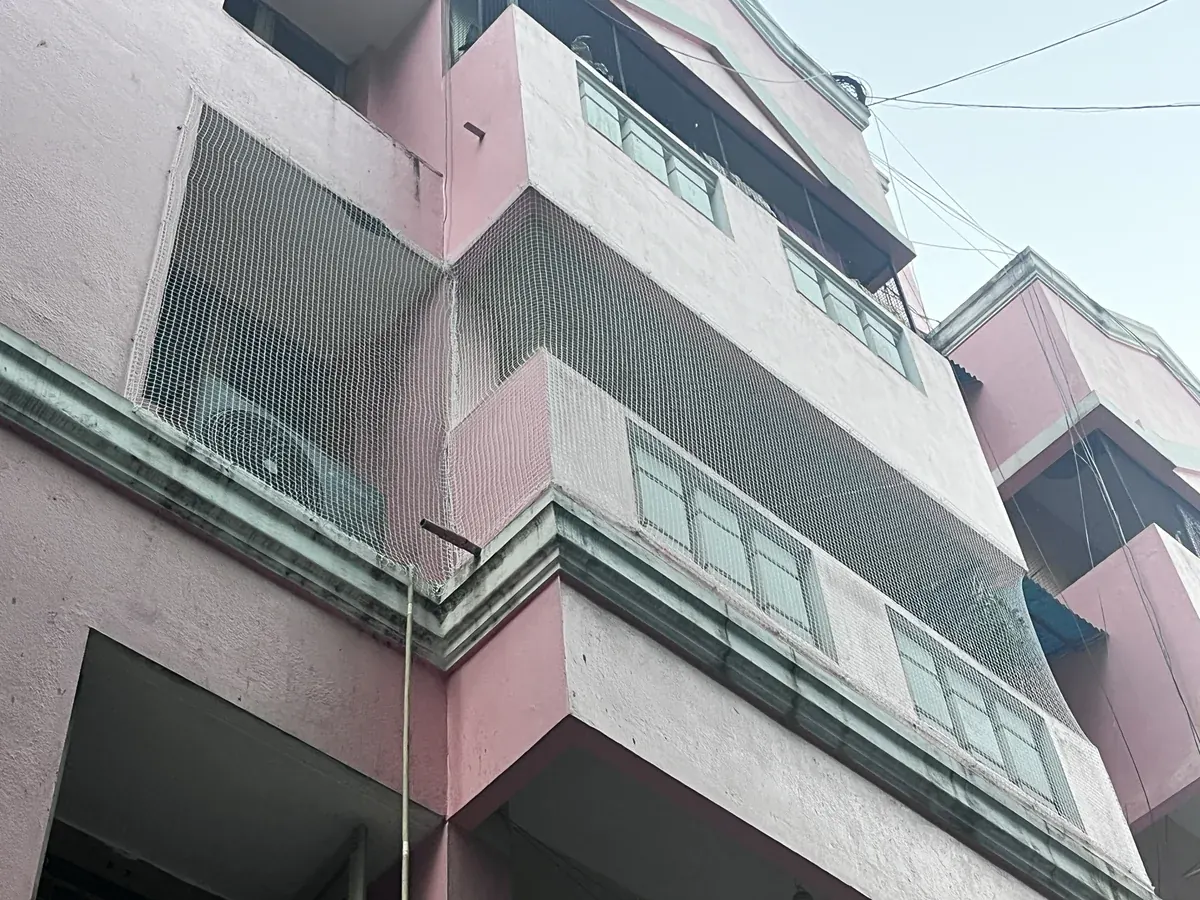Apartment Pigeon Nets in Jubilee Hills