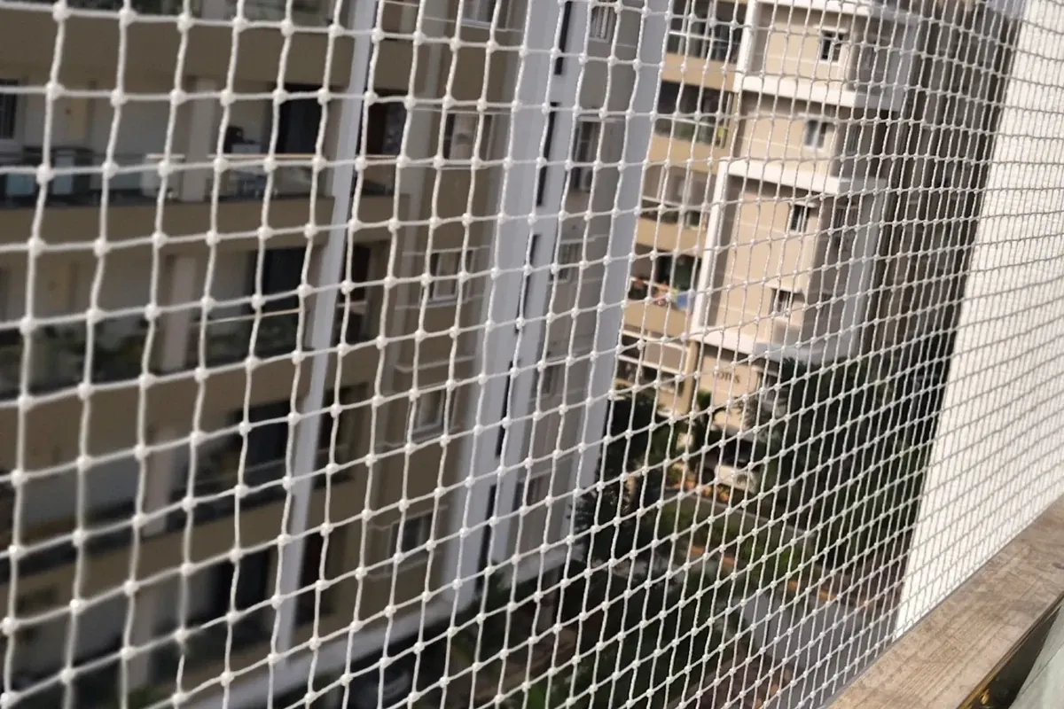 Utility Area Pigeon Nets in Mehdipatnam
