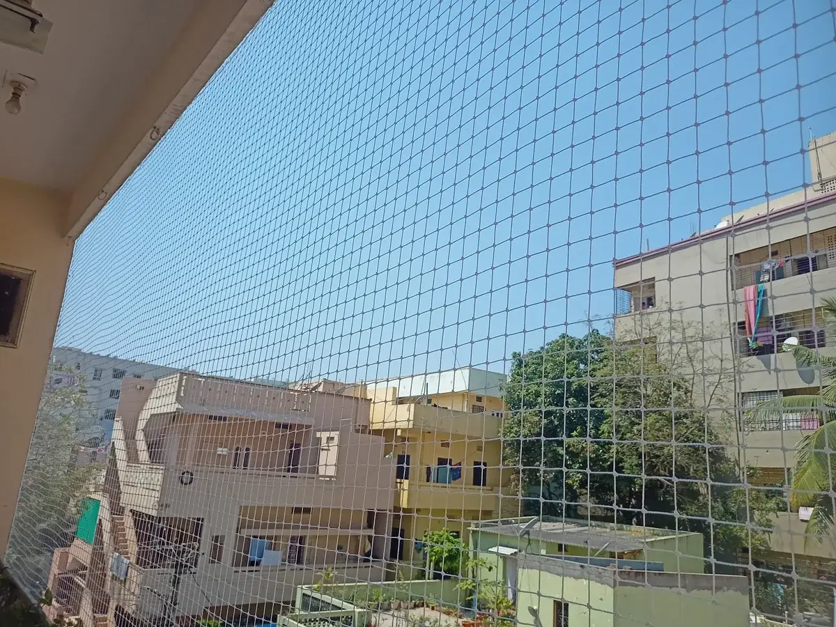 Bird Net installation at a Miyapur apartment
