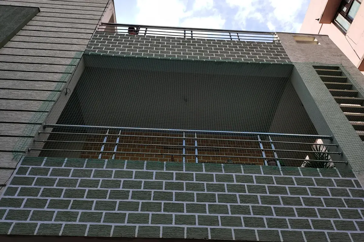 Pigeon Net planning in Secunderabad