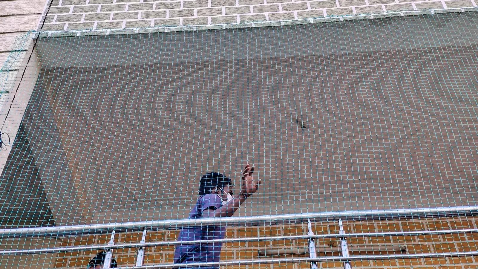 Pigeon Nets in Hyderabad